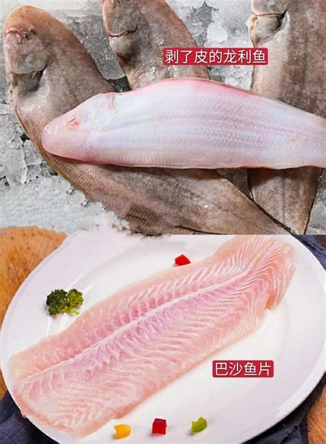 飼料魚是什麼魚|飼料魚一般是什麼魚精選